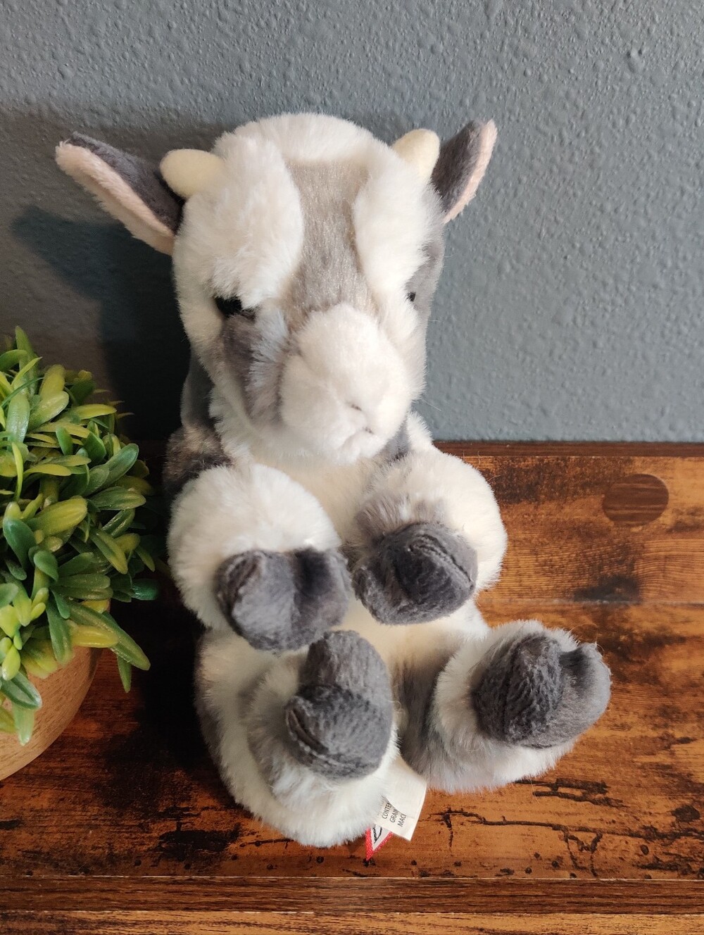 Douglas Newborn Grey Baby Goat Plush Cuddle Toy Lil' Handful 6” LUXE SOFT EUC